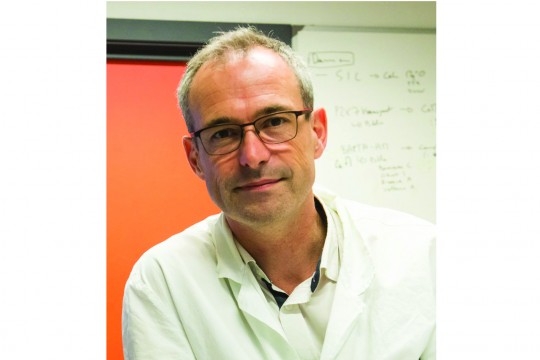 Poisbeau Pierrick - photo web