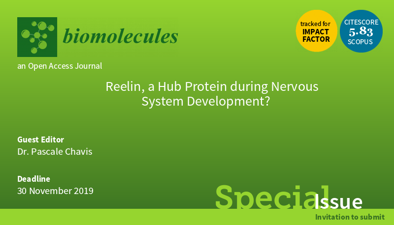 reelin_nervous_system_development-dark