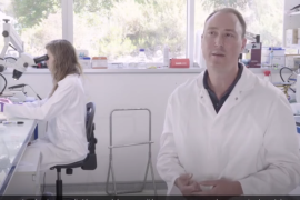 Vidéo fetes de la science 2020